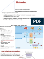 1 WK 7 - Metabolism of Carbs and Lipids 2023