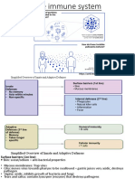 WK 3b Immune System 2023