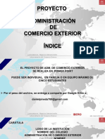 Cíndice Del Proyecto