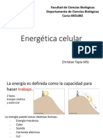 Clase 4 - BIOL082 - 202320