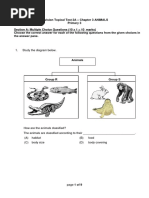 Science Animals Revision