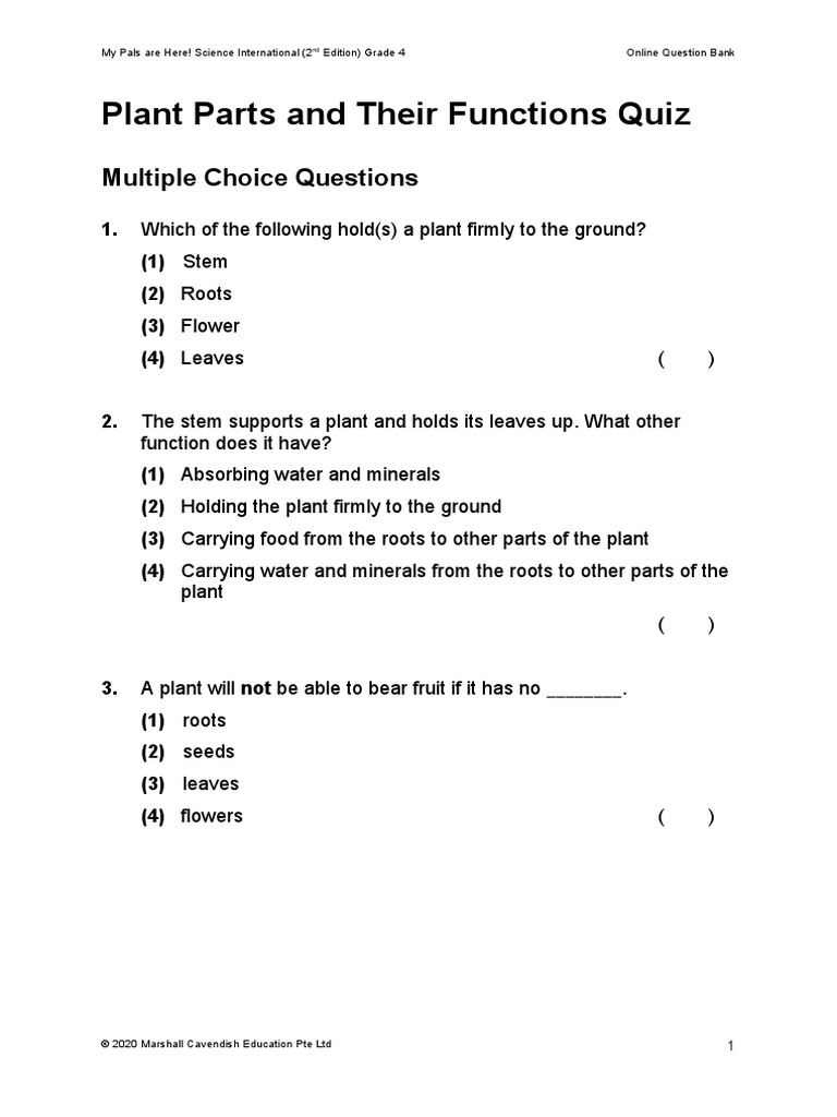Unit 2 Plants Quiz | PDF