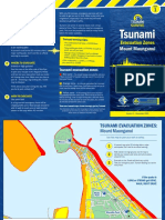 Tsunami Mount