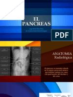 El Pancreas Cap 29