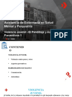 Presentación 3a - Violencia Juvenil - El Pandillaje y Aspectos Preventivos 1