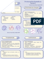 Parcial C Parasitologia