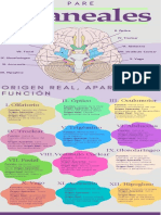 Infografia