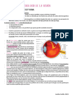 Fisiología de La Visión