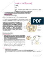 Fisiología de La Vía Visual