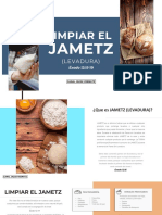 Limpiar El JAMETZ PDF Diapositivas