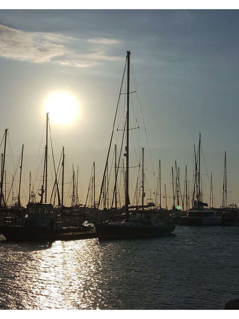 D6BFF667-6ED4-4D35-8EDA-D119F25E95EC | PDF