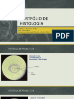Portfólio de Histologia - Leticia Katlyn Da Silva