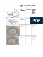 Neuro Psicologia