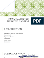Lecture 10 Neurological Examination