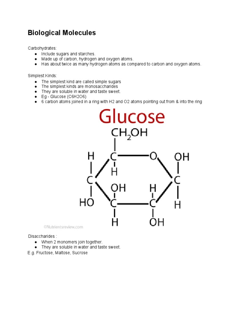 C4 - Biological Molecules | PDF | Carbohydrates | Glucose