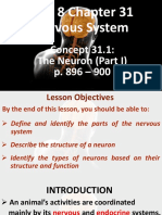 Neuron Part I