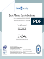 CertificateOfCompletion - Excel Filtering Data For Beginners