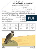 AR UI2 SC 2 The Falcon Activity Sheet Arabic English Ver 5