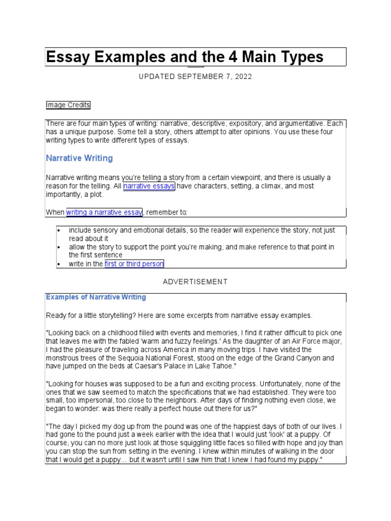 Essay Example | PDF | Essays