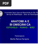 Aula Cotovelo Punho Mão