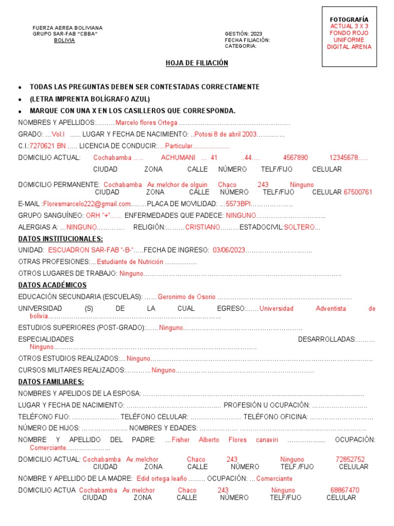 2.-Formato Modelo para Llenar File | PDF