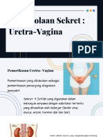 TM 7 Uretra-Vagina