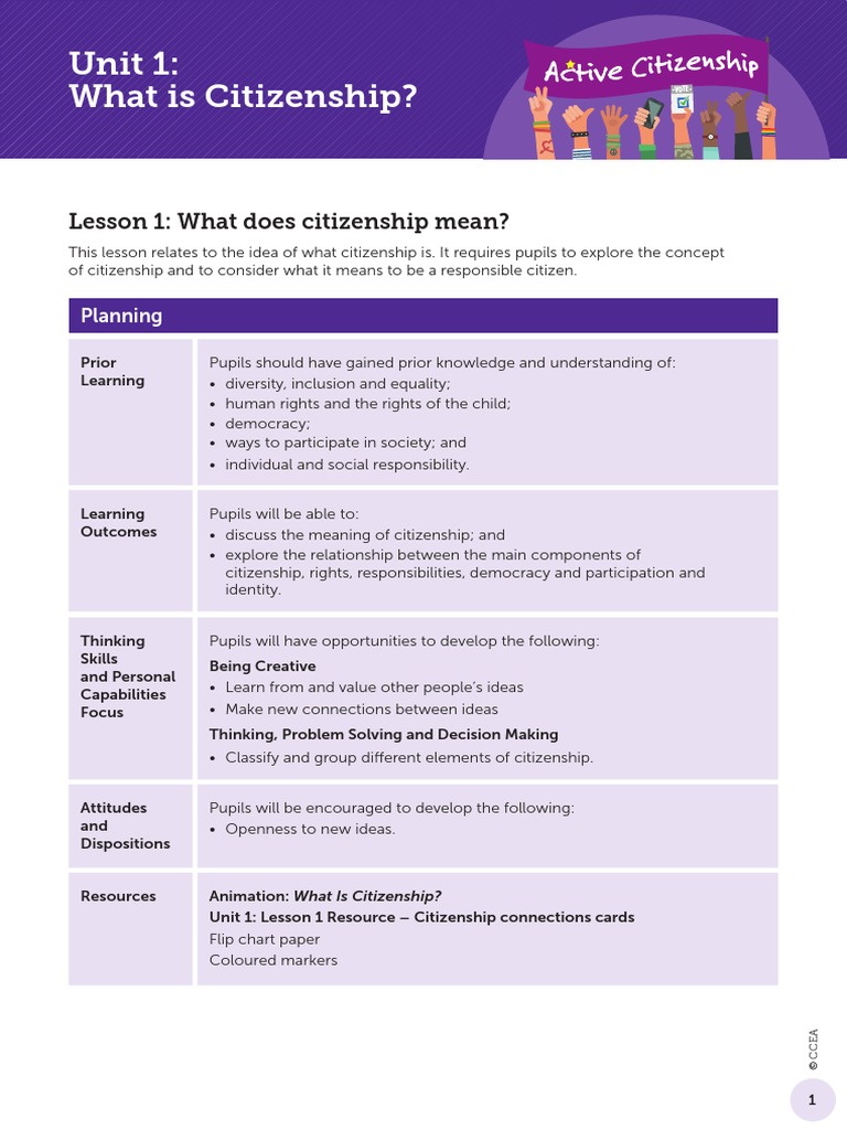 Lesson 1 What Does Citizenship Mean PDF Citizenship Learning
