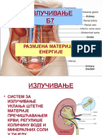 Izlucivanje