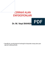 6.cerrahi Alan Enfeksiyonları (M.Veysi Bahadır)