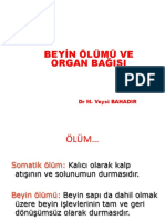 2.beyin Ölümü Ve Organ Bağışı (M.Veysi Bahadır)