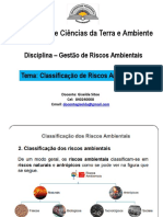 Classificacao Do Risco Ambiental 23