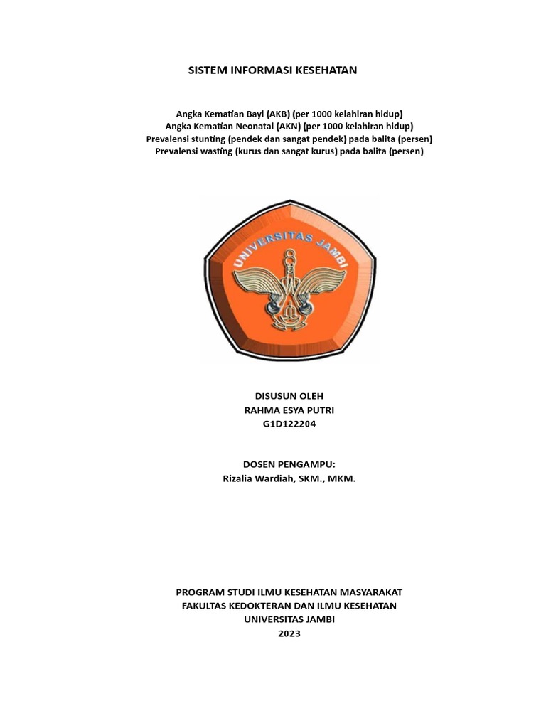Sistem Informasi Kesehatan | PDF | Kesehatan Holistik