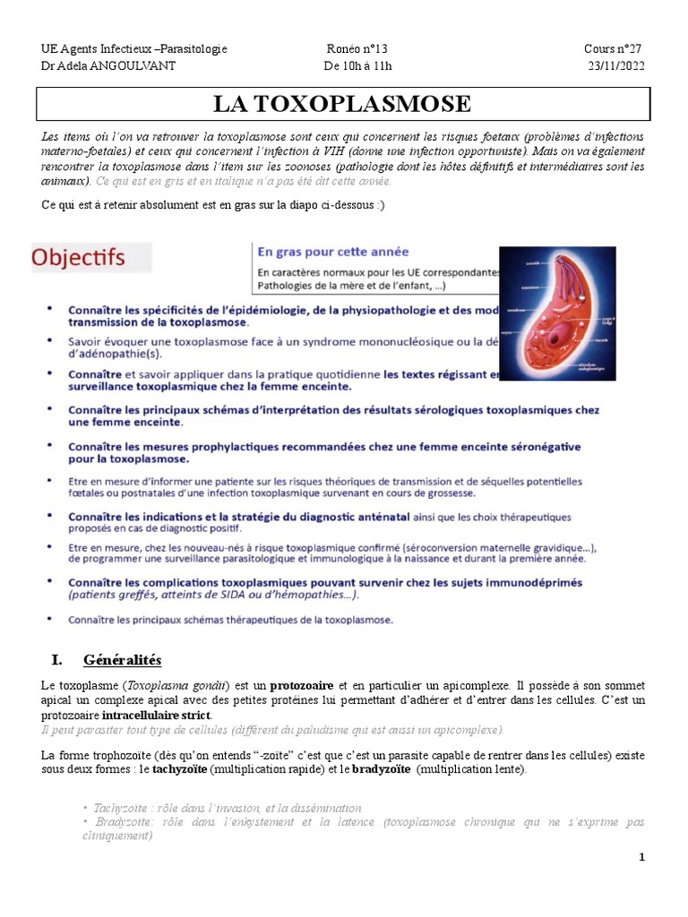 Comprendre la Toxoplasmose PDF Système immunitaire Spécialités — free download