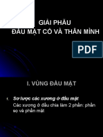 GIẢI PHẪU ĐMCTM