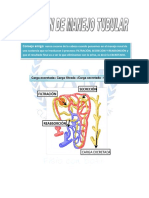 Manejo Renal de Solutos PDF