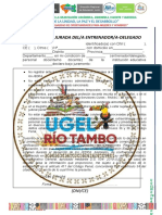 Declaración Jurada Del Entrenador