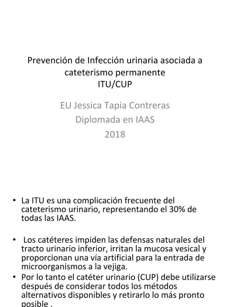 prev-itu-cup-1-pdf-lavado-de-manos-sistema-urinario