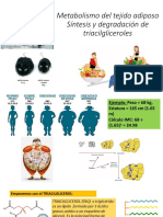 Tejido Adiposo-Met de Triacilgliceroles-2020