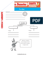 La Luz para Cuarto de Primaria
