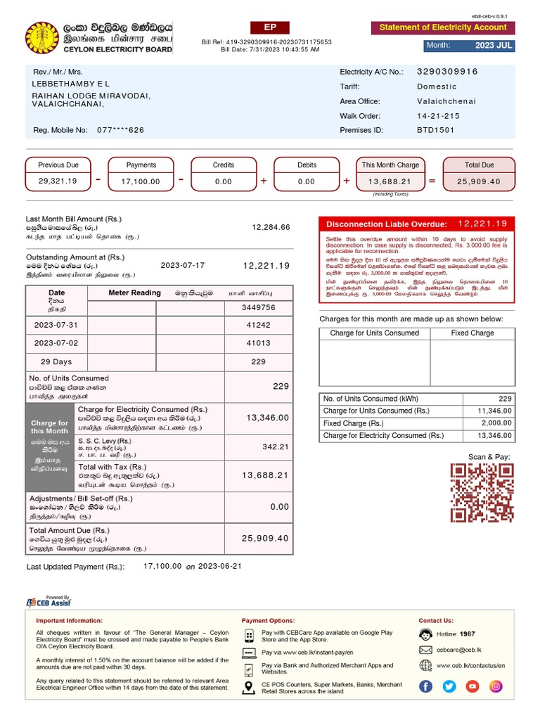 Ebill Pdf Payments Economies
