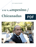 Chicanadas Perspectivas