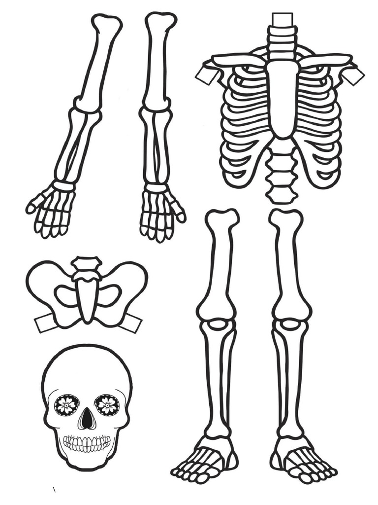 ESQUELETO IMPRIMIR | PDF