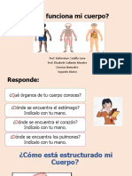 PPT La Función Del Cuerpo Ciencias Segundo Básico