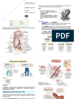 Hernias Parte 1