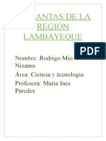 10 Plantas de La Región Lambayeque