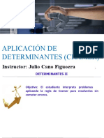 Determinantes 2