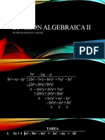 División Algebraica II