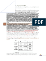 Pediatria - Examen Fisico RN