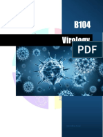 B104 Abstract (Virology)