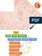 B104 Abstract (Bacteria)